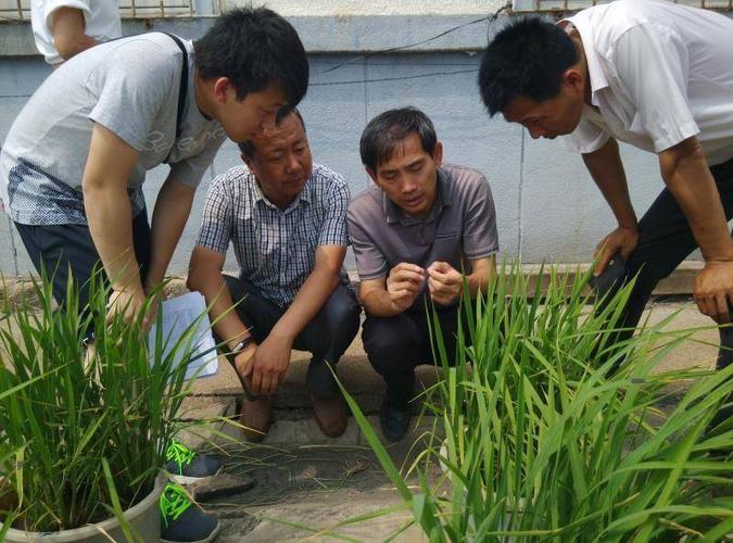 张文忠老师在开原农业技术推广中心试验基地,和研究生及农业技术人员